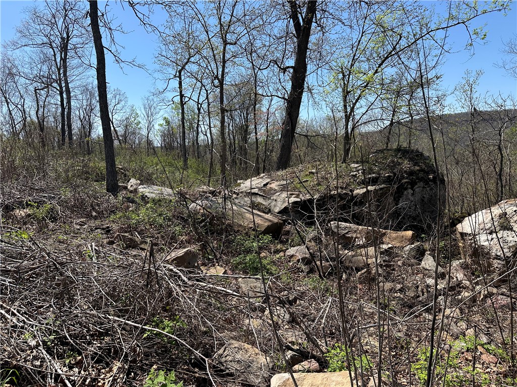 Image 12