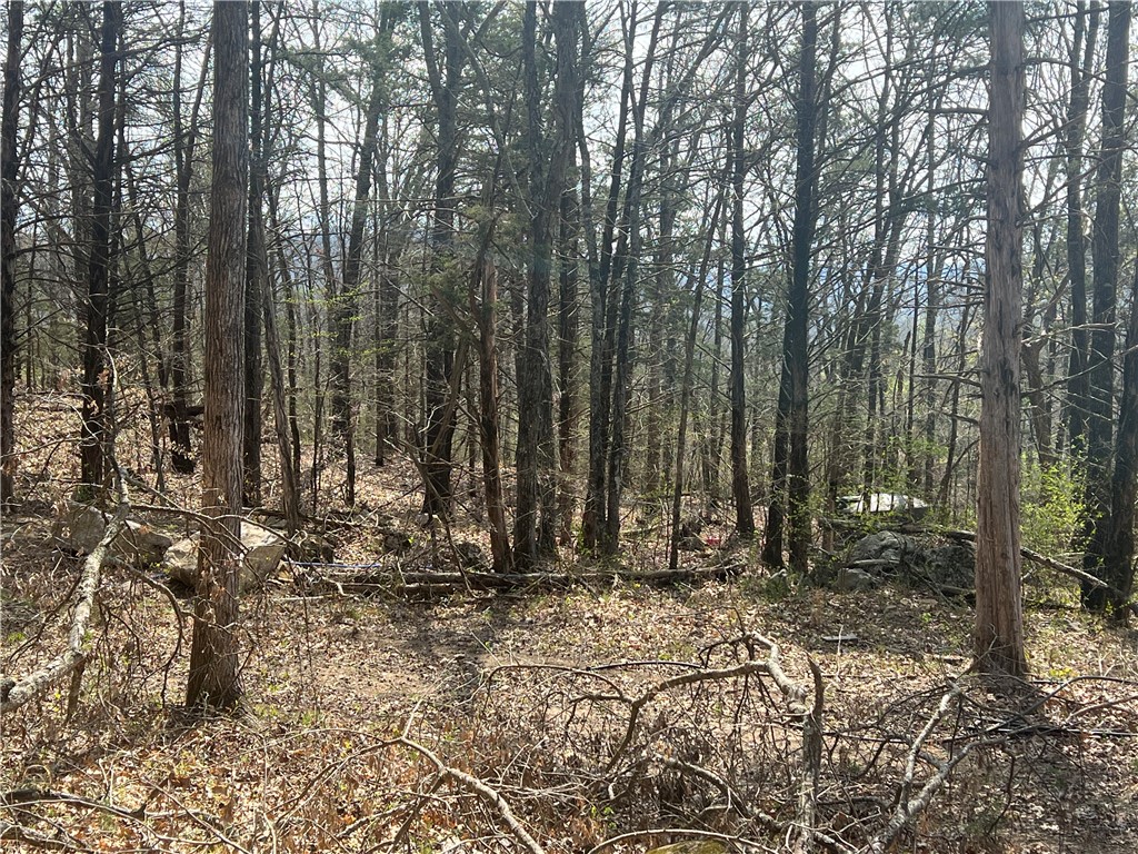 Image 23