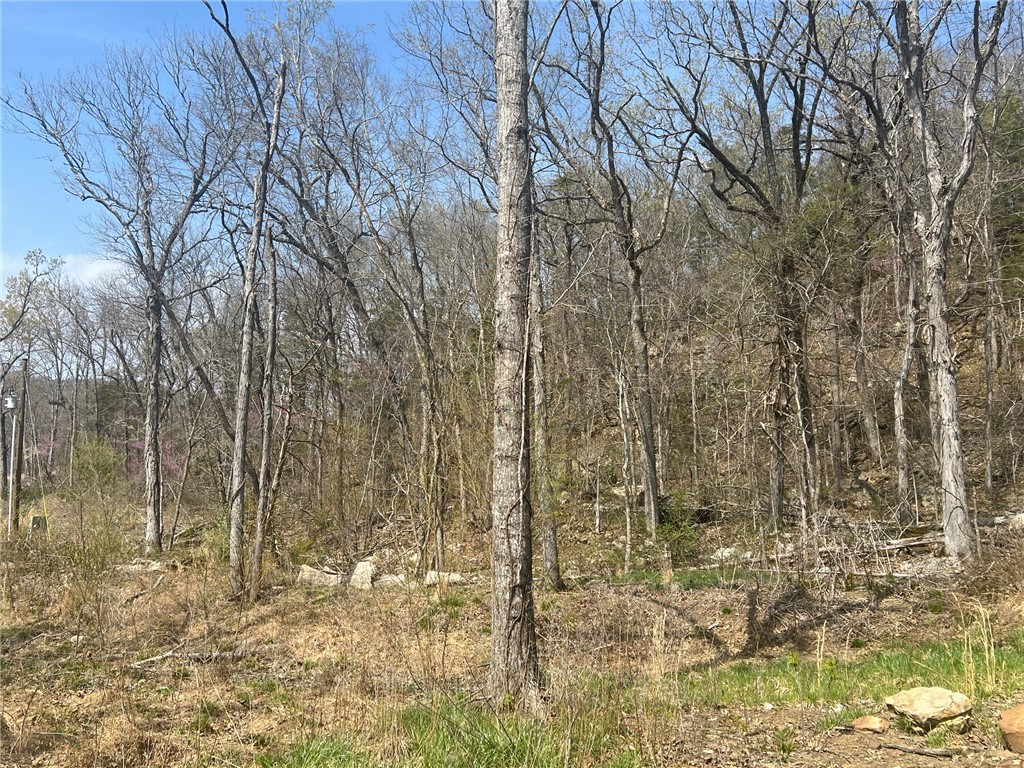Image 26