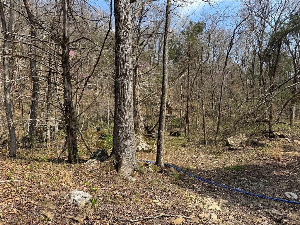 Image 38