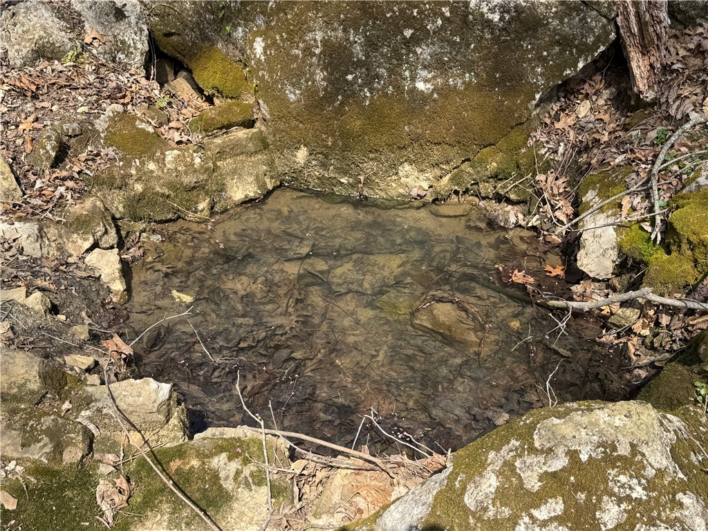 Image 40
