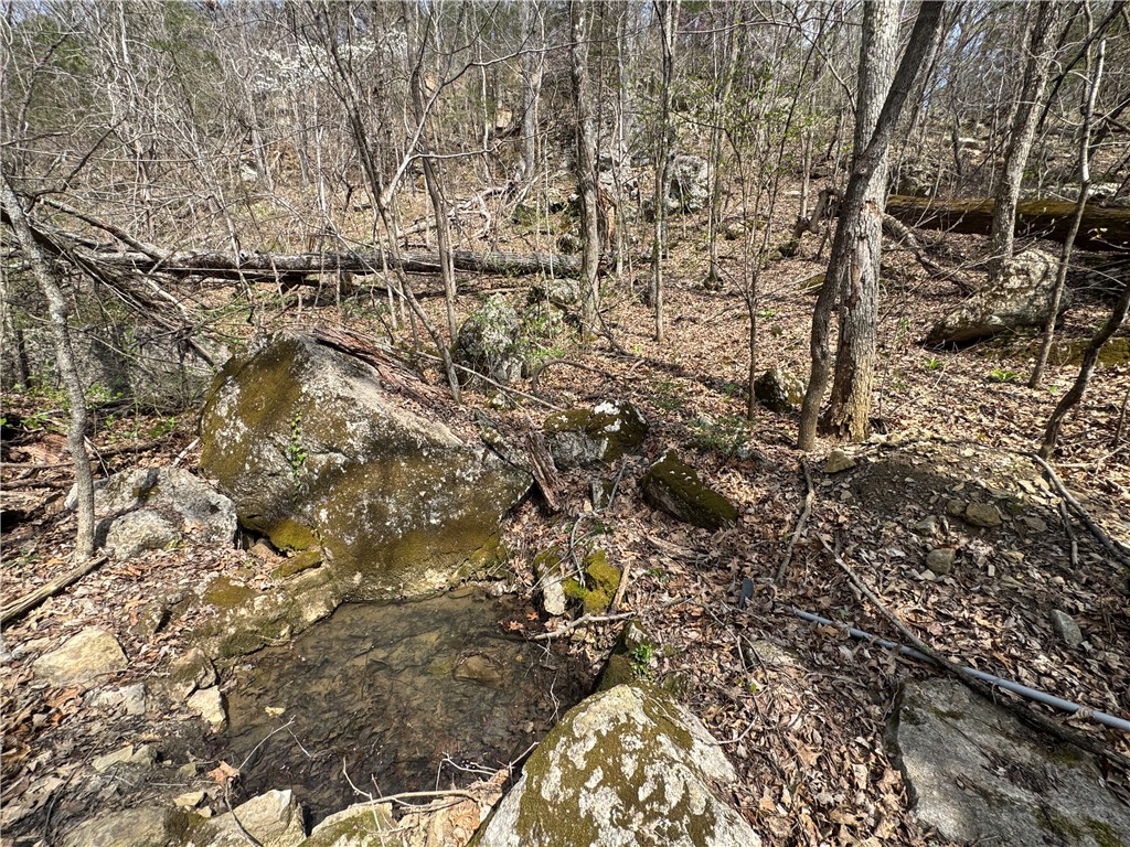 Image 41