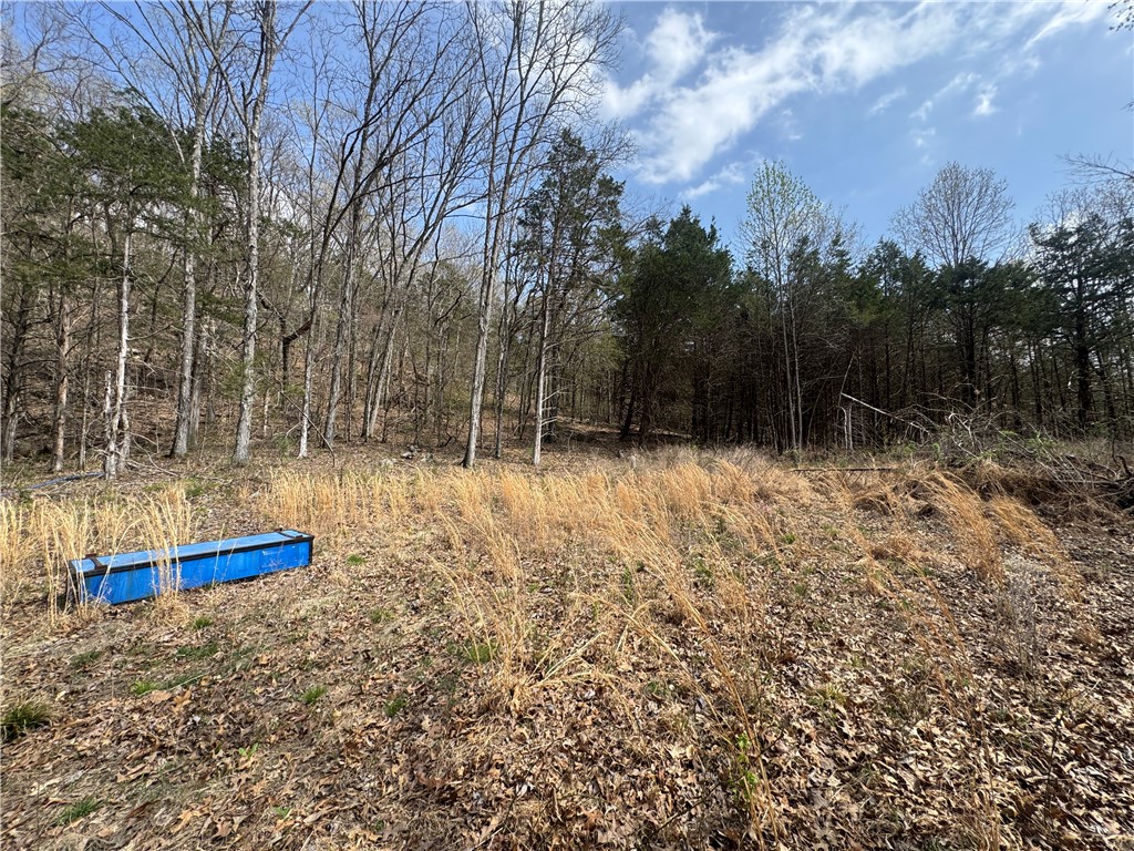 Image 43