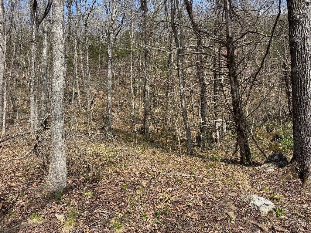 Image 45