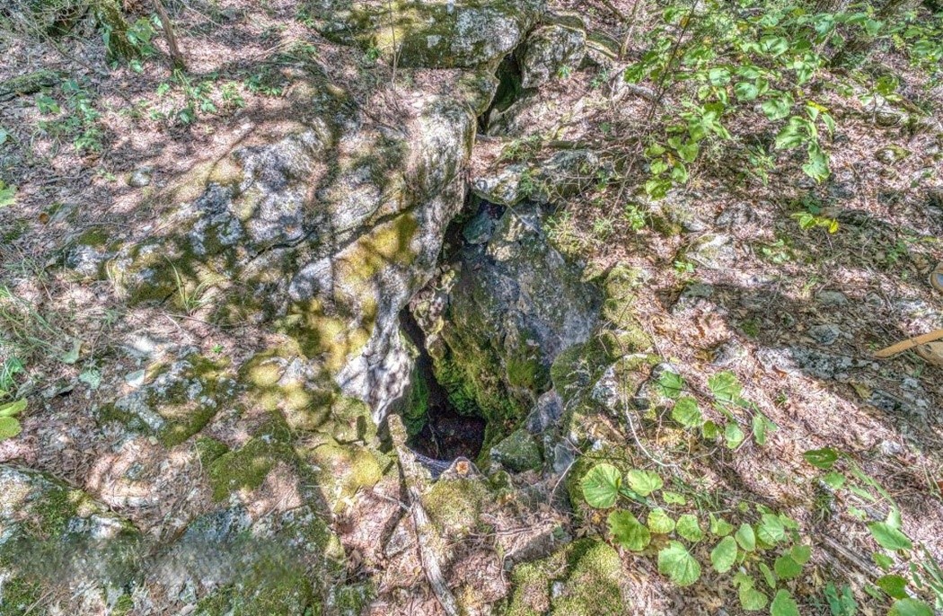 Image 15