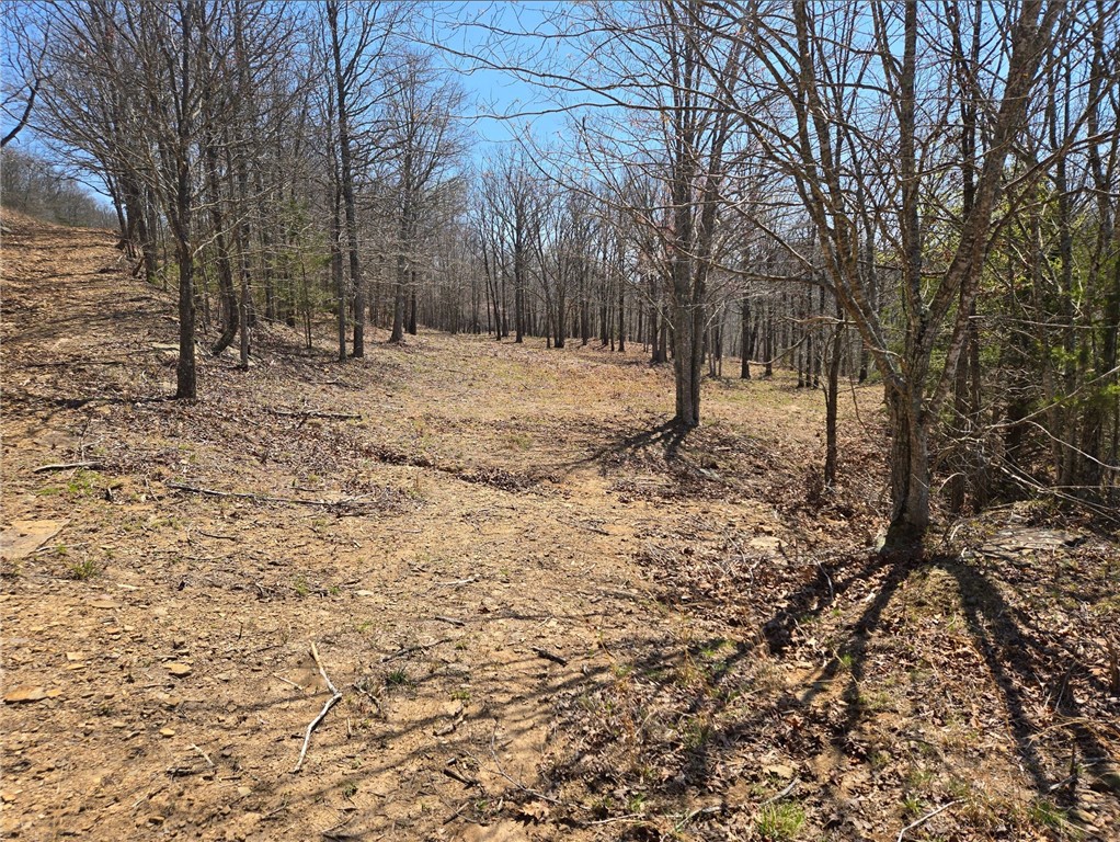 Image 8