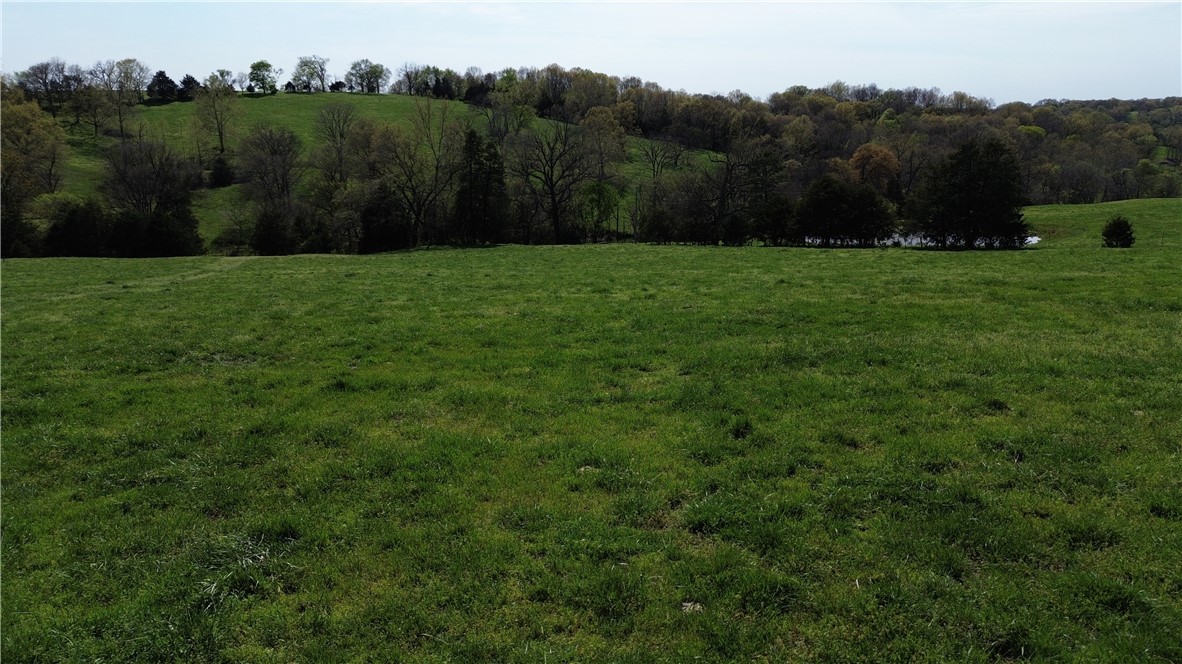 Image 14