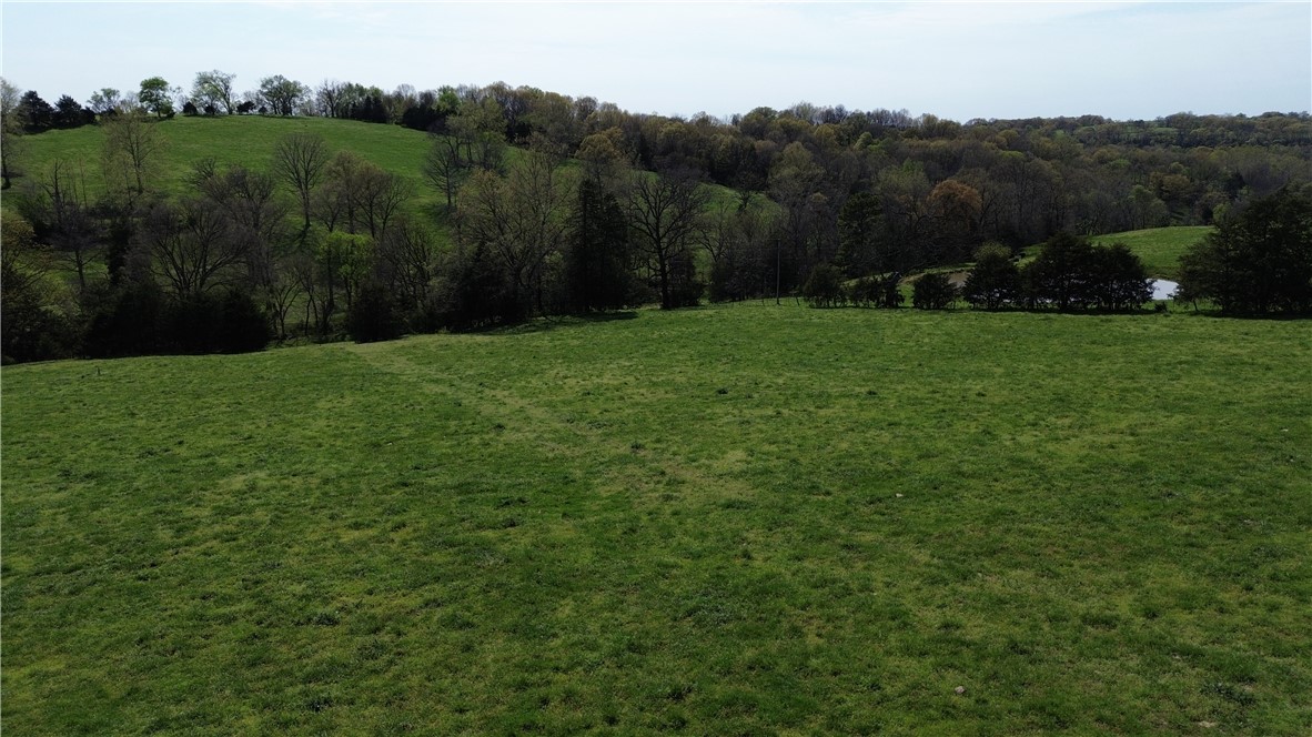 Image 17