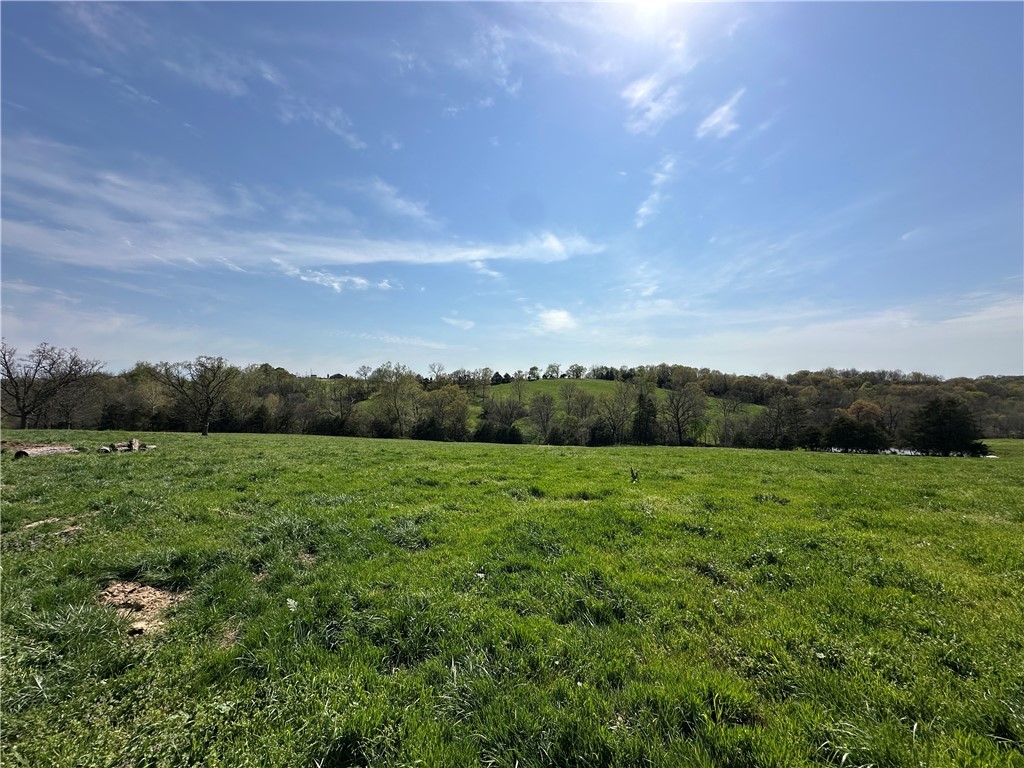 Image 18