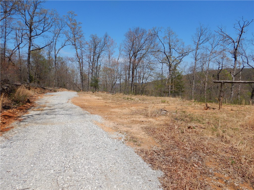 Image 13