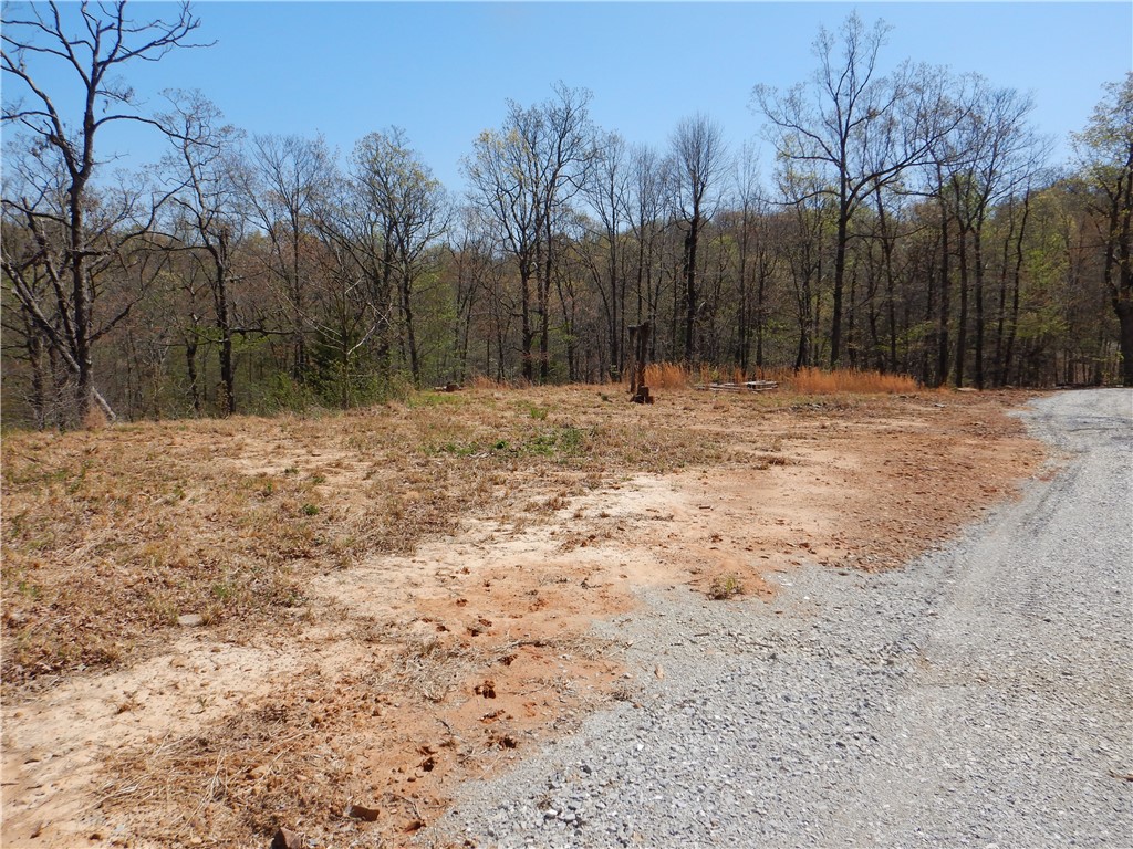 Image 14