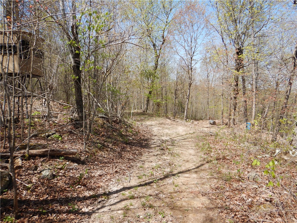 Image 19