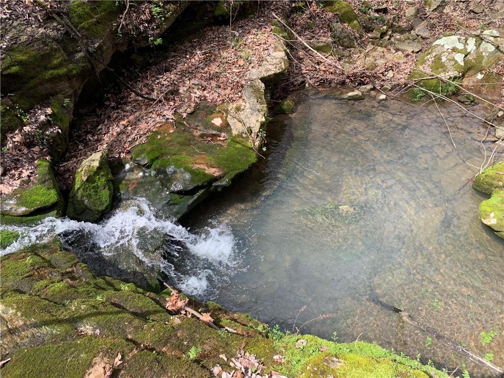 Image 25