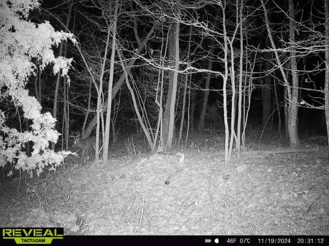 Image 38