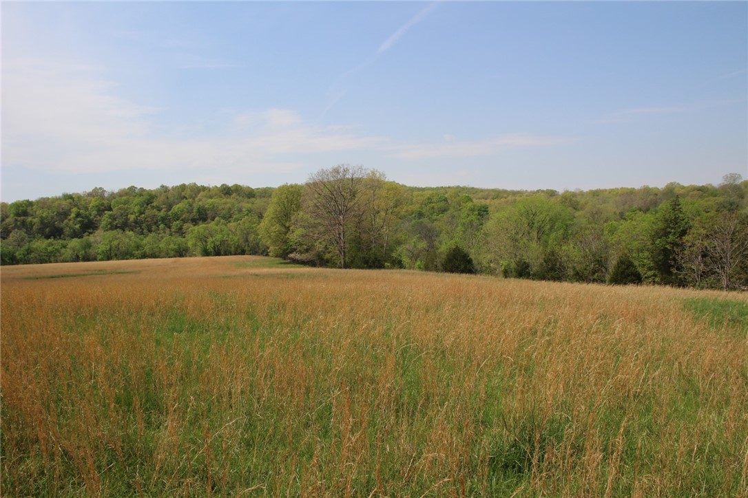 Image 13