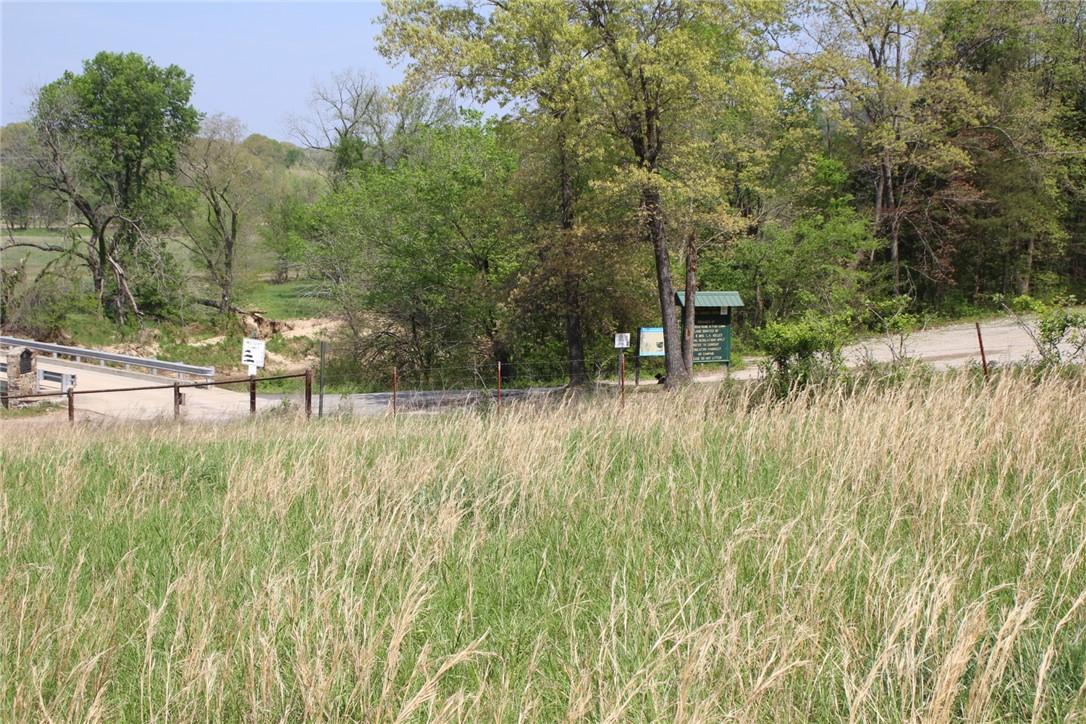 Image 14