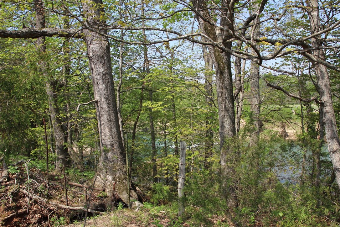 Image 15