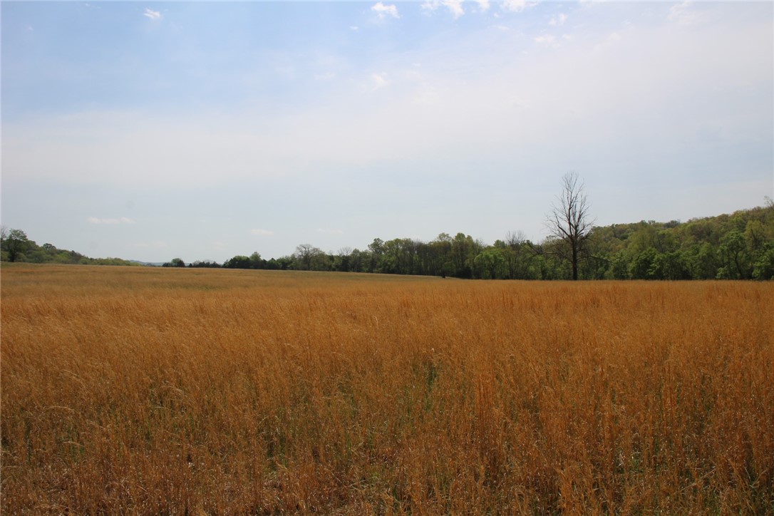 Image 16