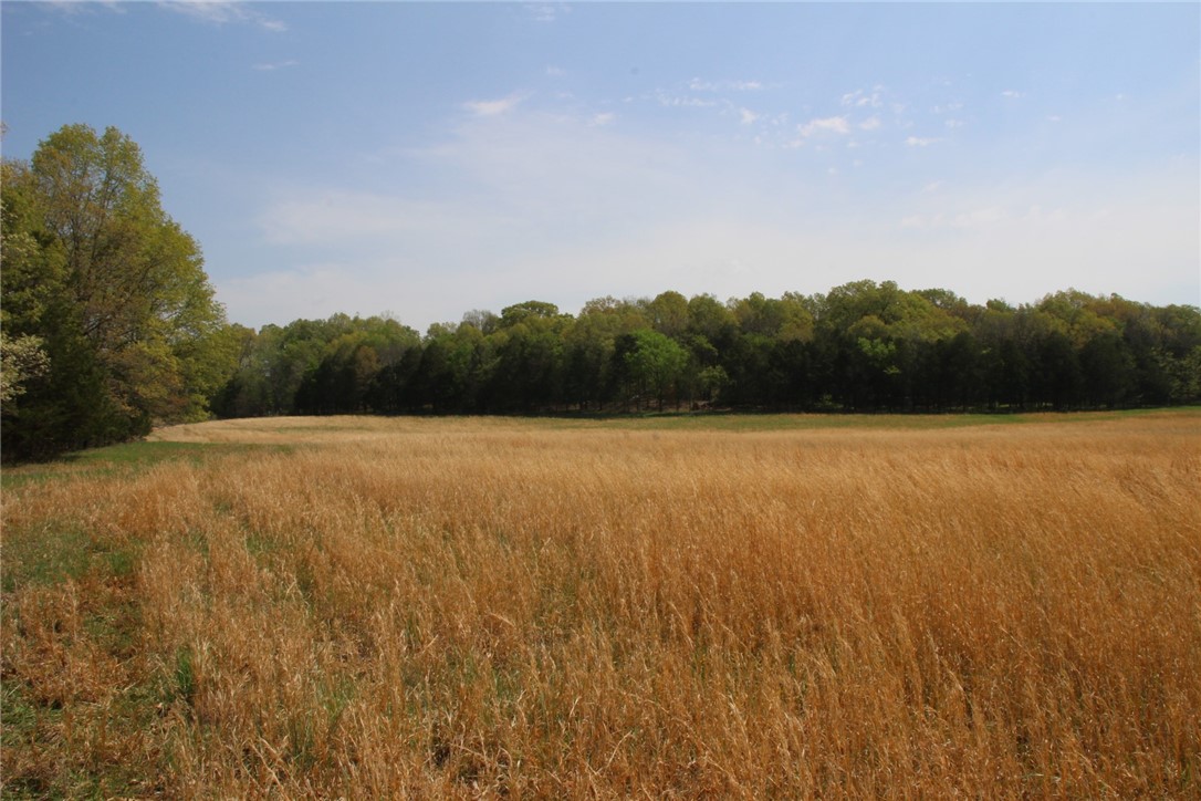 Image 17
