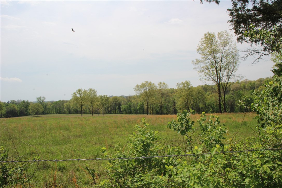 Image 22