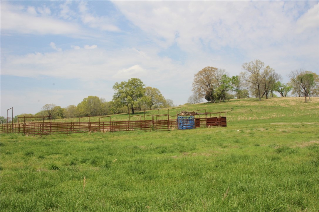 Image 25