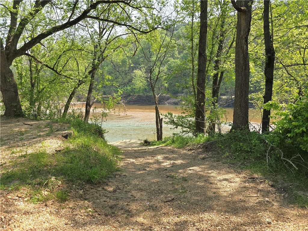 Image 46