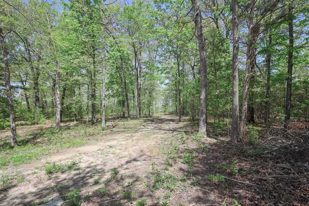 Image 14