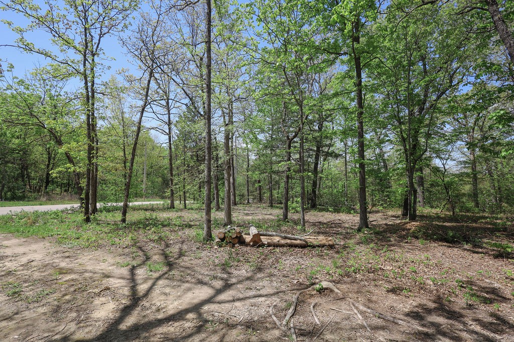 Image 18