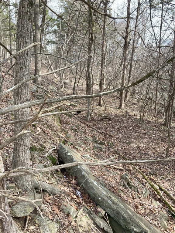 Image 10