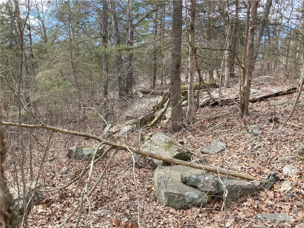 Image 6