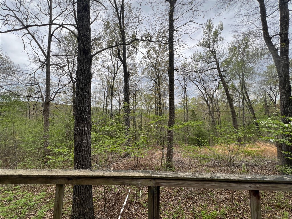 Image 13