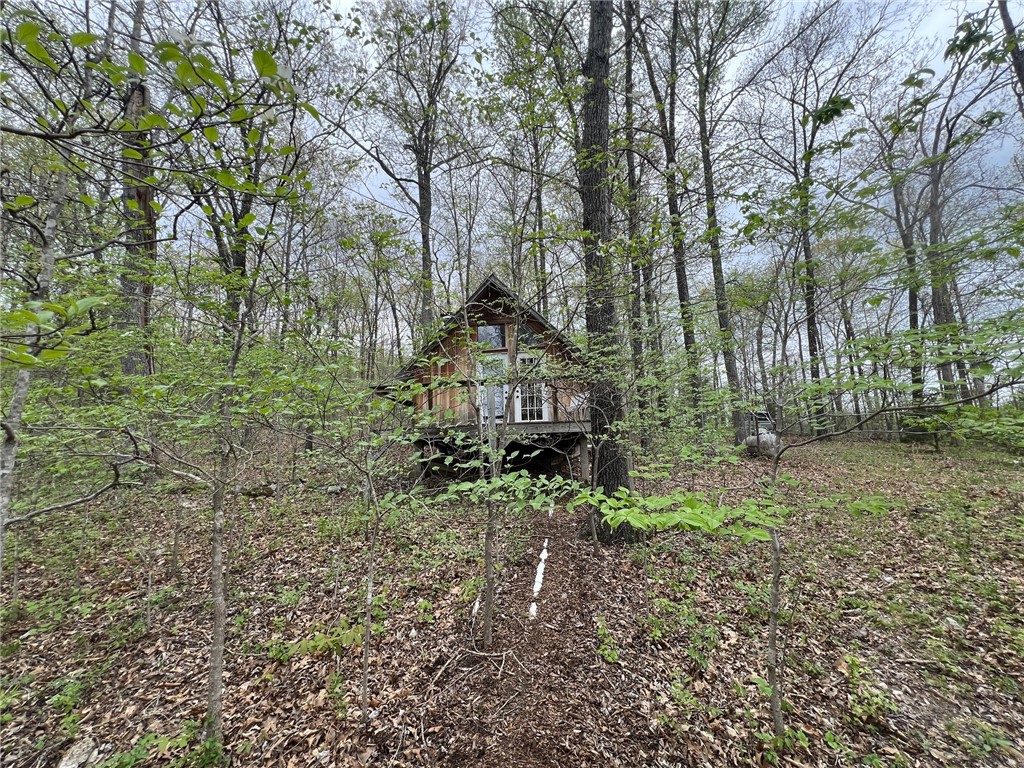 Image 15