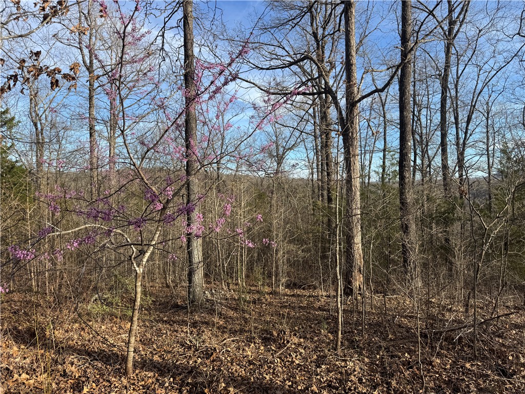 Image 19