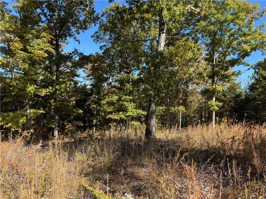 Image 12