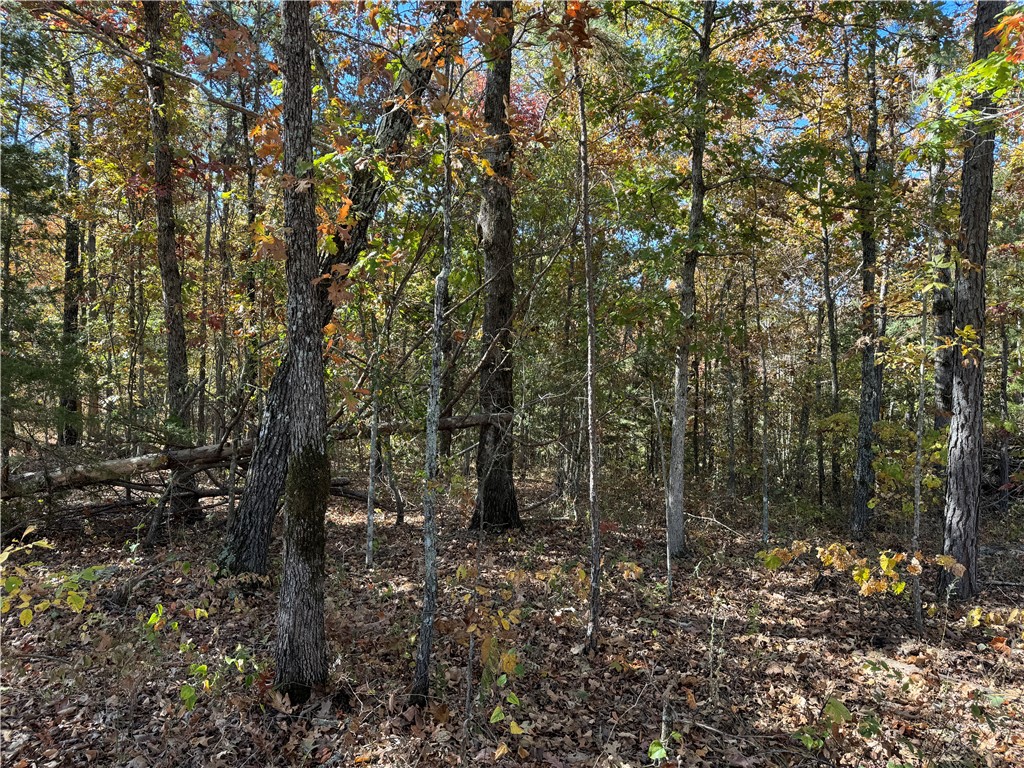 Image 15