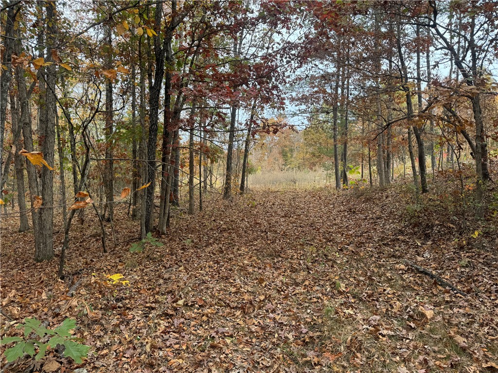 Image 18