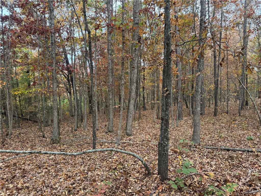Image 19