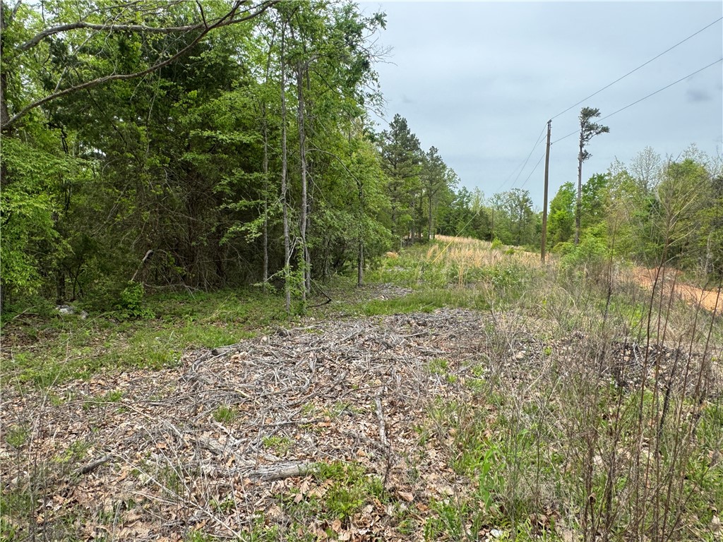 Image 33