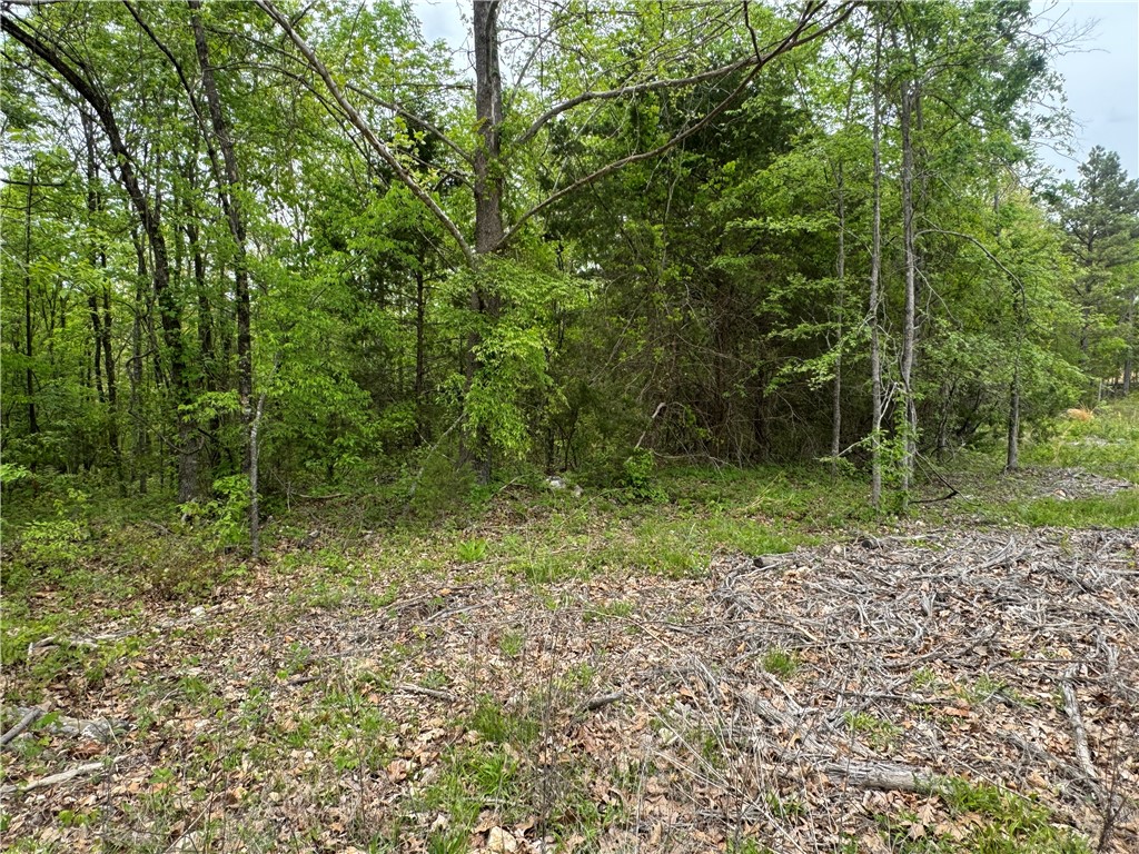 Image 35