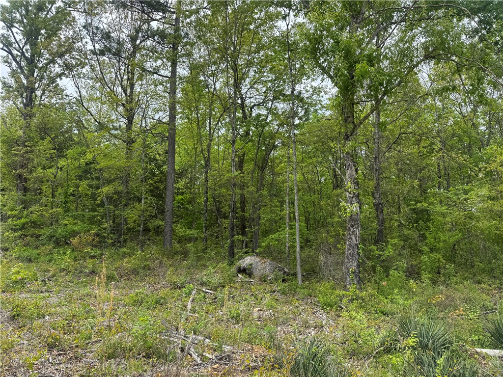 Image 40