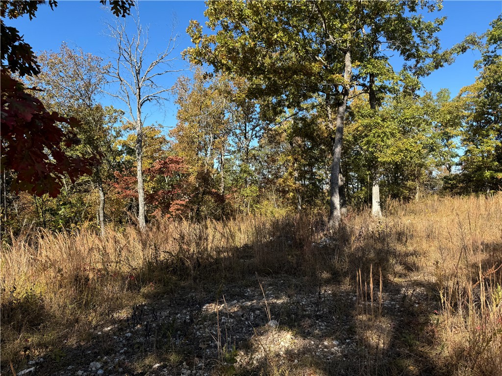 Image 8