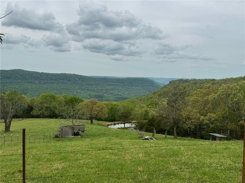 Image 12