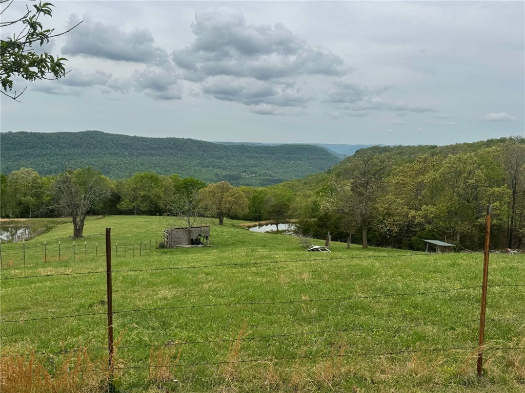 Image 13