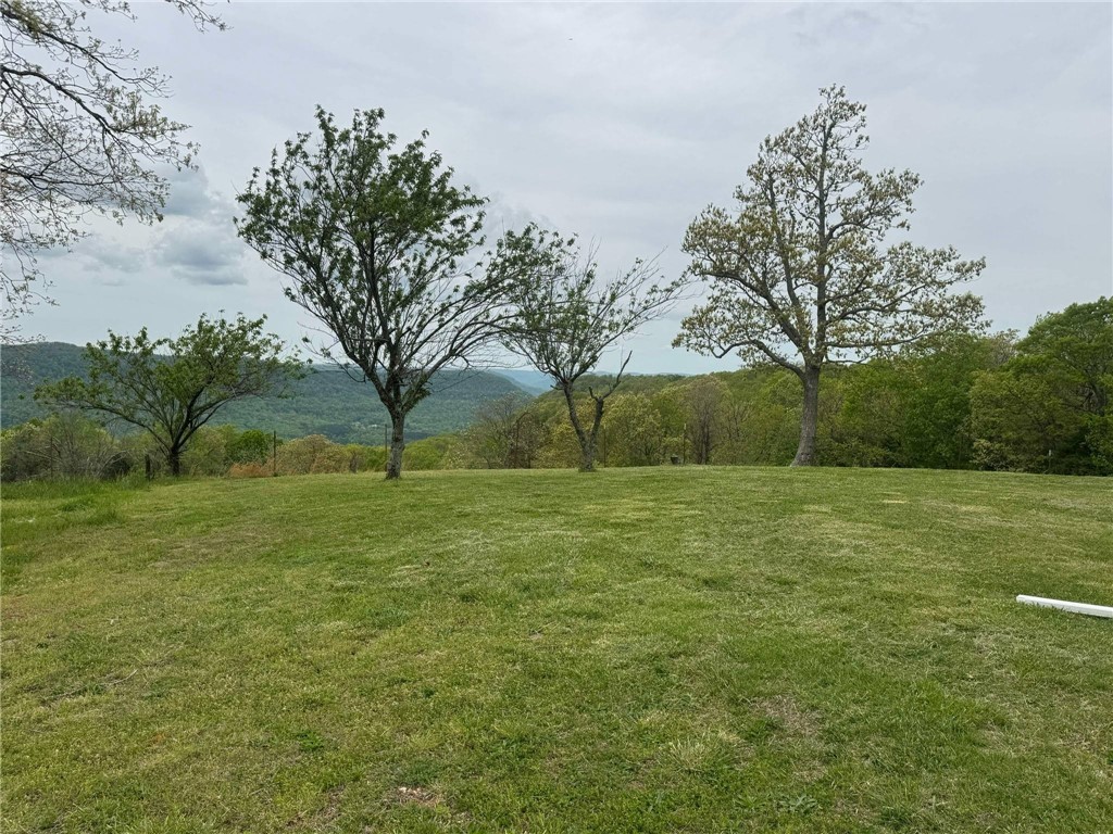 Image 37