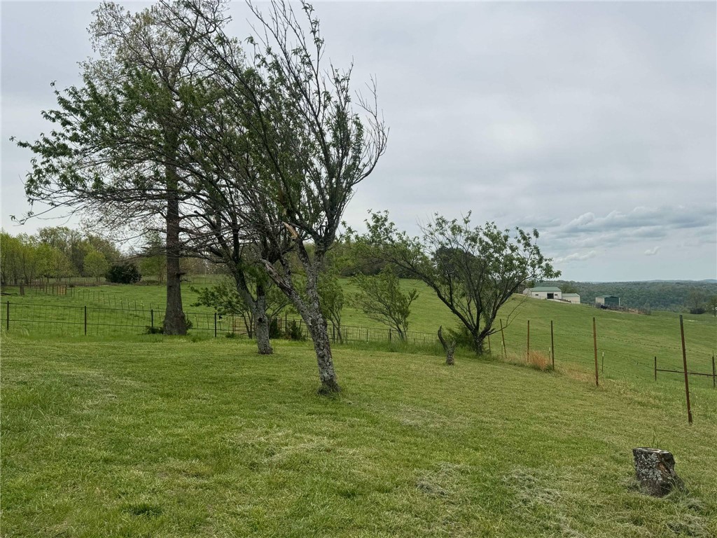Image 45