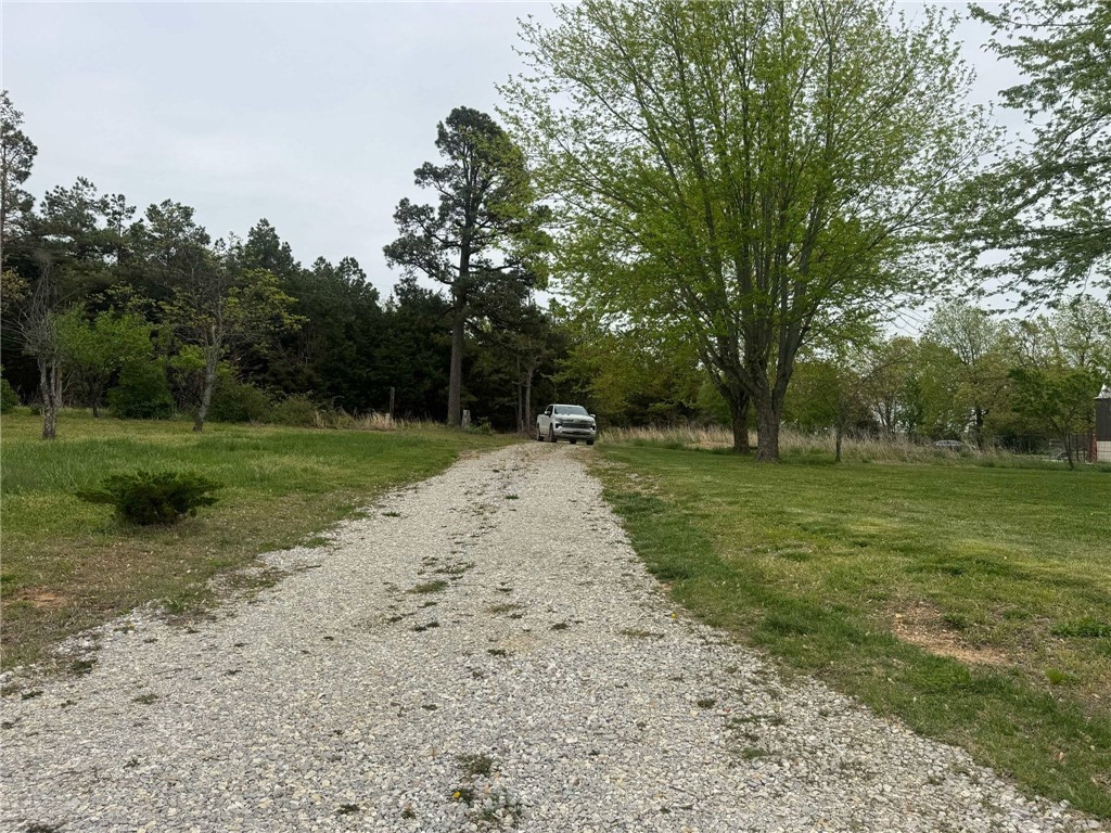 Image 51
