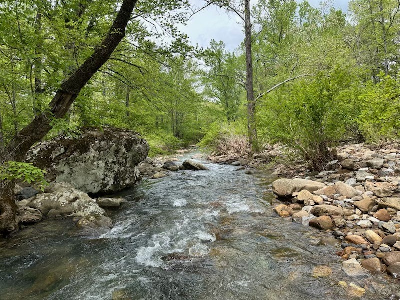 Image 47