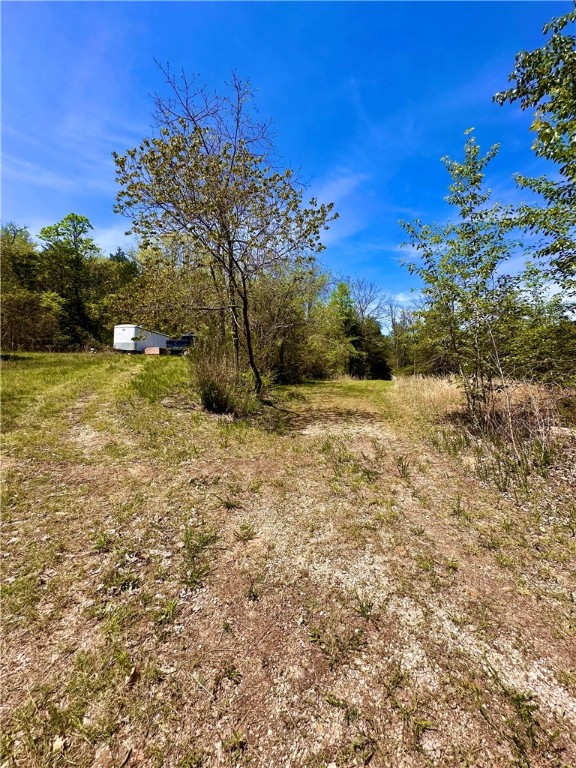 Image 30