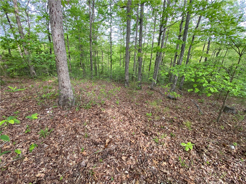 Image 18