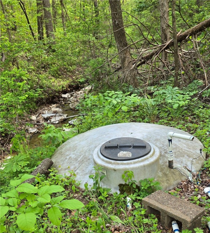 Image 10